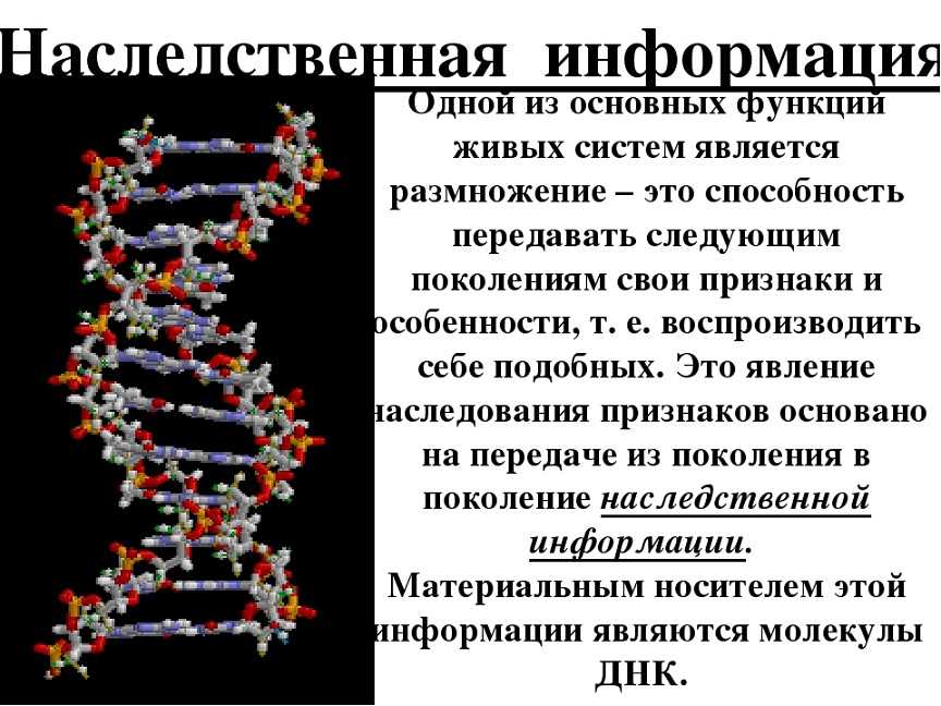 Гастроэзофагеальная рефлюксная болезнь: новый подход к причинам и лечению * клиника диана в санкт-петербурге