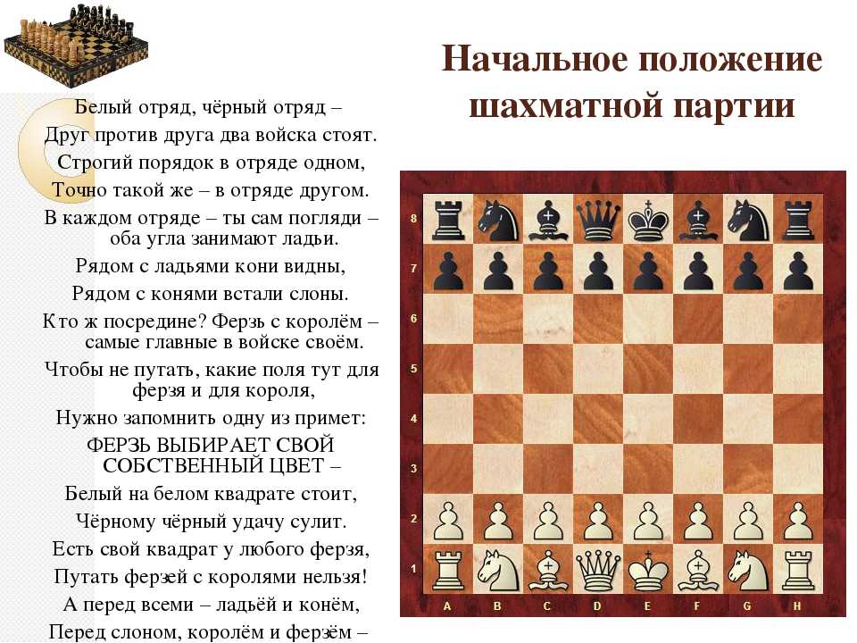 Как расставить шахматы на доске правильно фото название