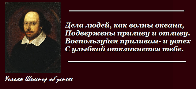 Шахматы