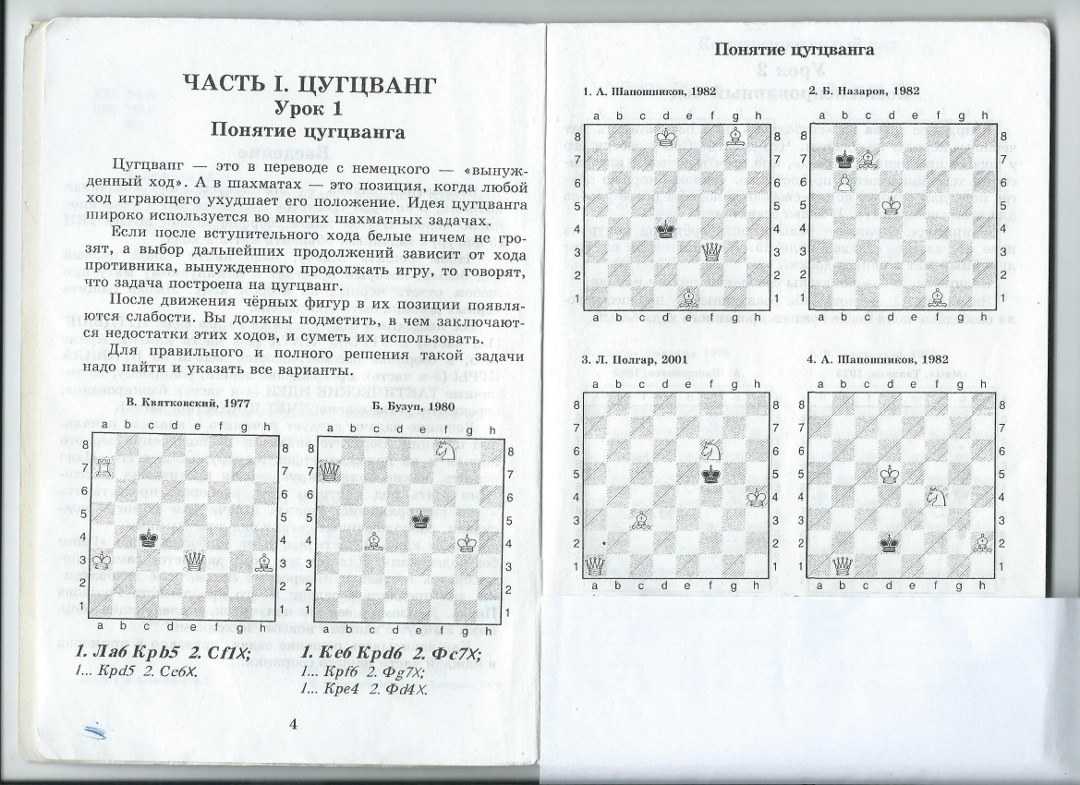 Шахматы: правила игры для новичков с картинками – наумёнок