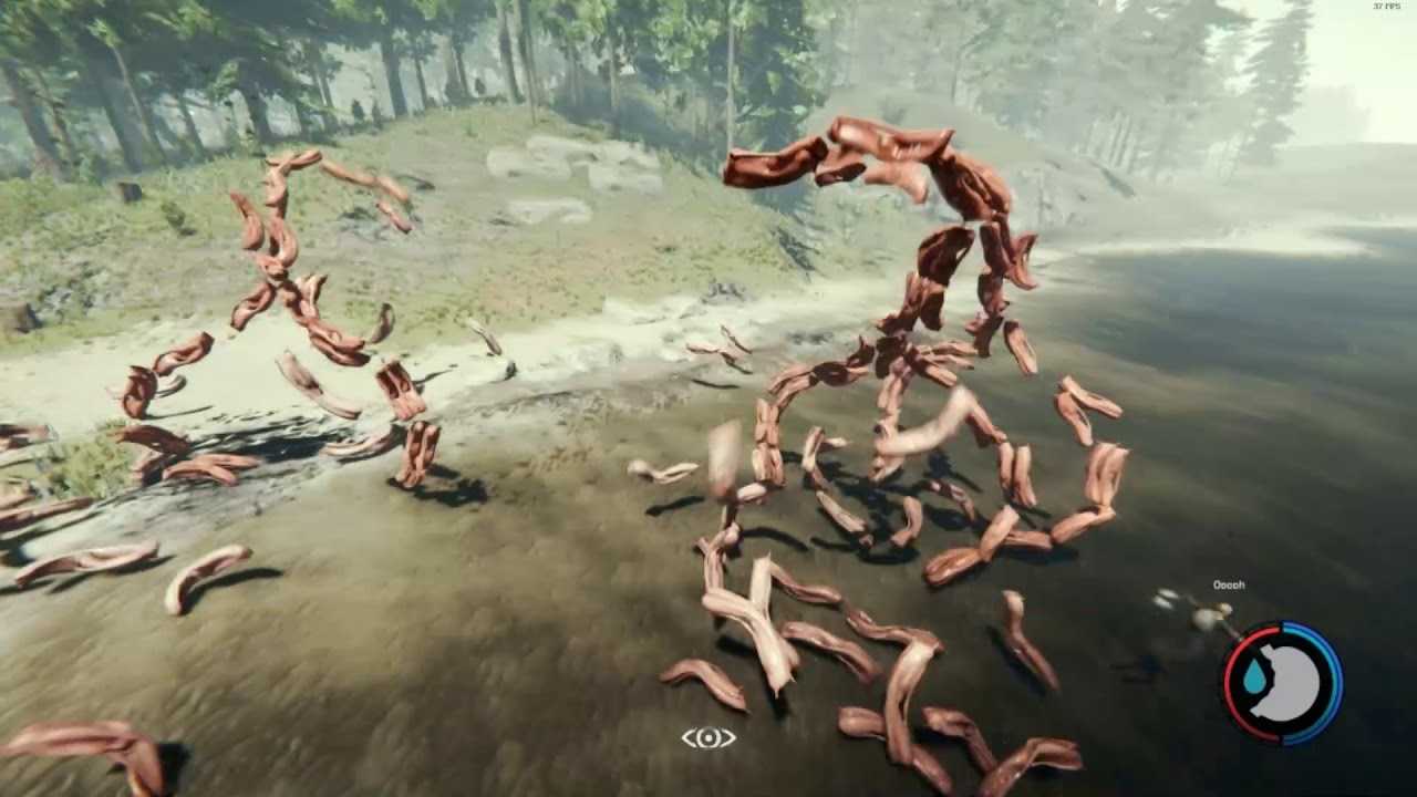The forest скачать игру