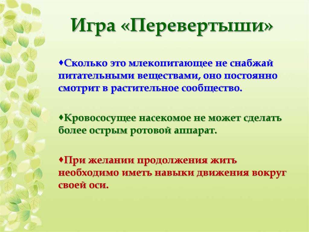 Настольные игры для всей семьи: 20 идей из разных стран