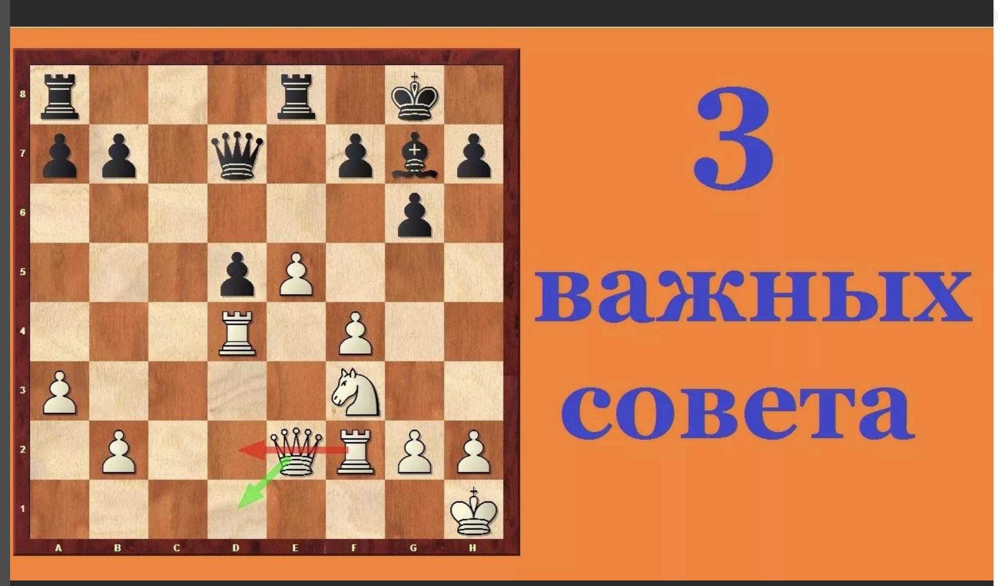 Как научиться играть в шахматы: обучение игре в шахматы для начинающих с нуля