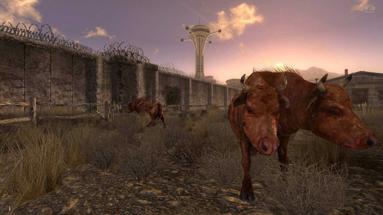 Fallout: new vegas скачать торрент бесплатно на пк