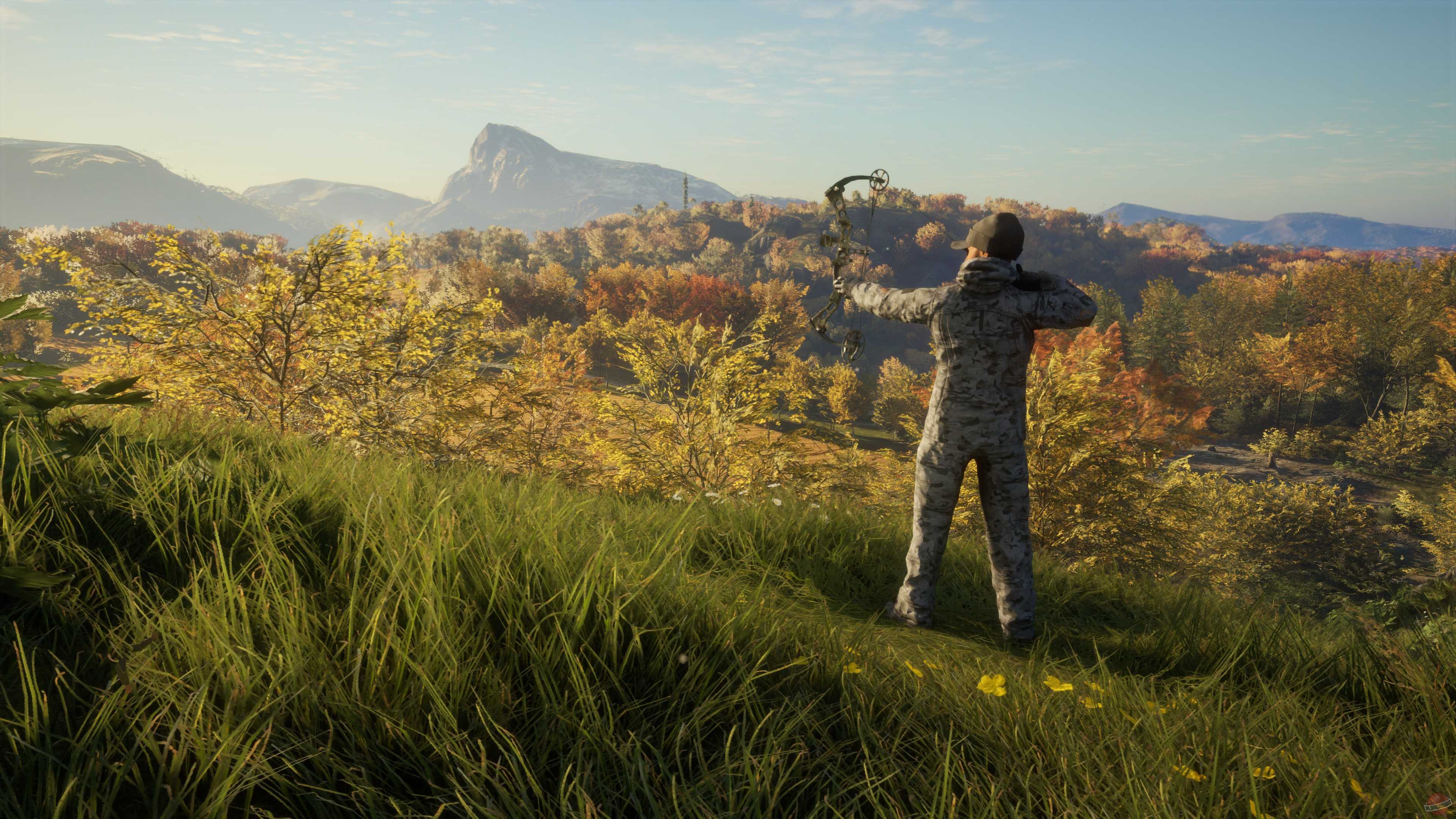 The hunter call of the wild оптимизация для слабых пк