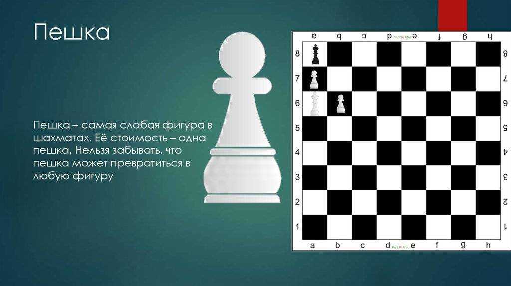 Интересная шахматная фигура до Петрова, которая добавит нотку интеллектуальности в ваш интерьер