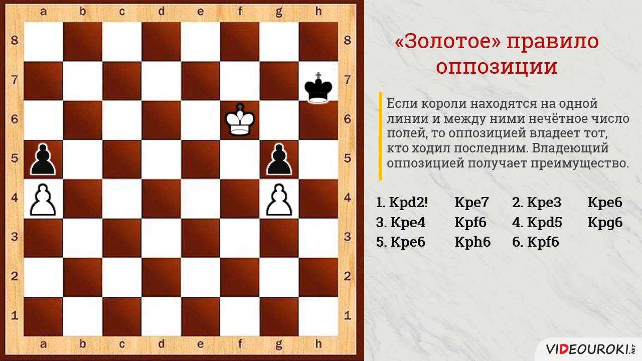 Дебюты в шахматах для начинающих