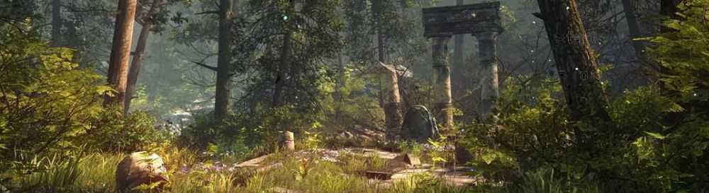 Есть решение! the forest