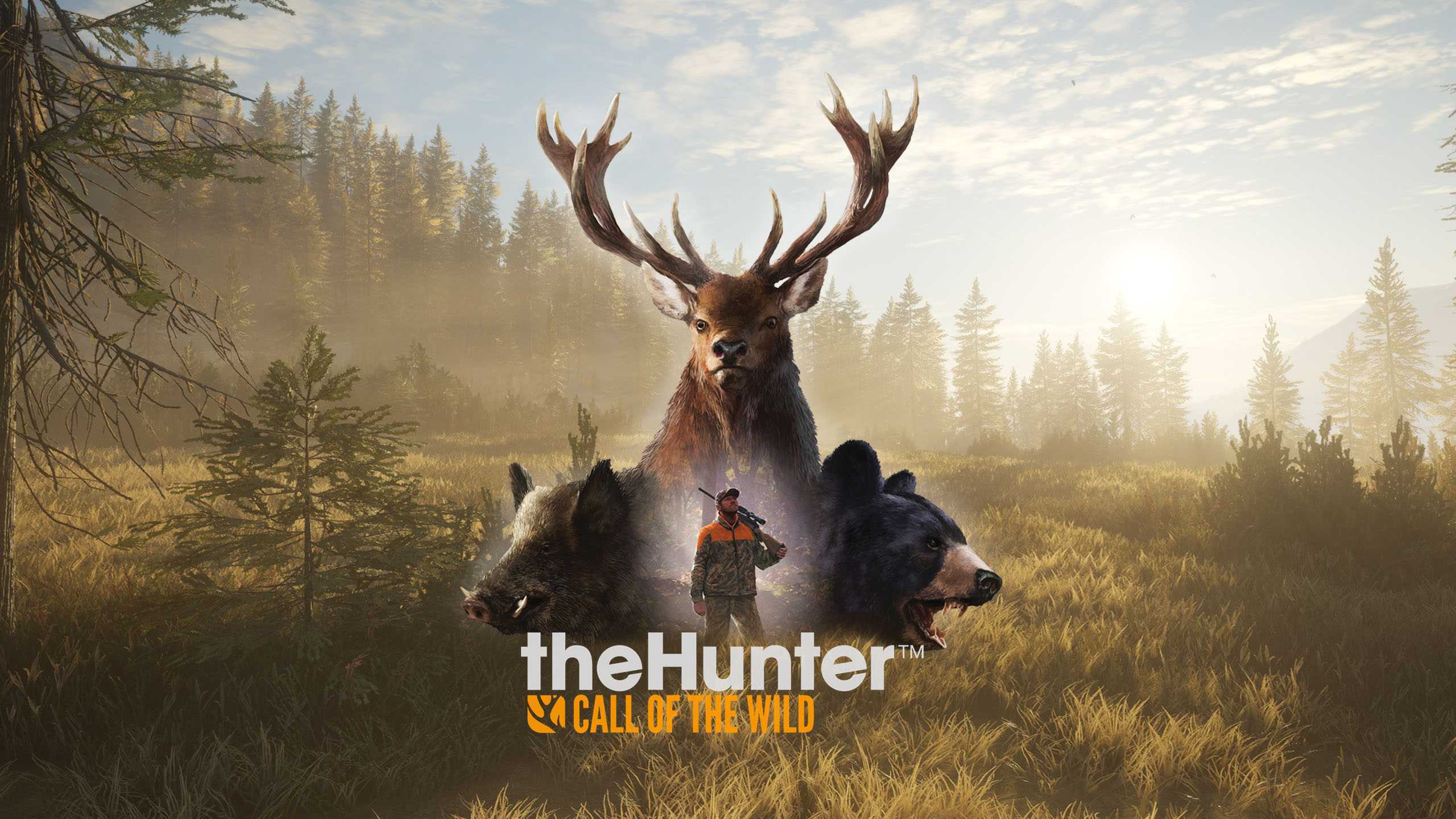 Исправлено: thehunter call of the wild постоянно тормозит, тормозит или зависает
