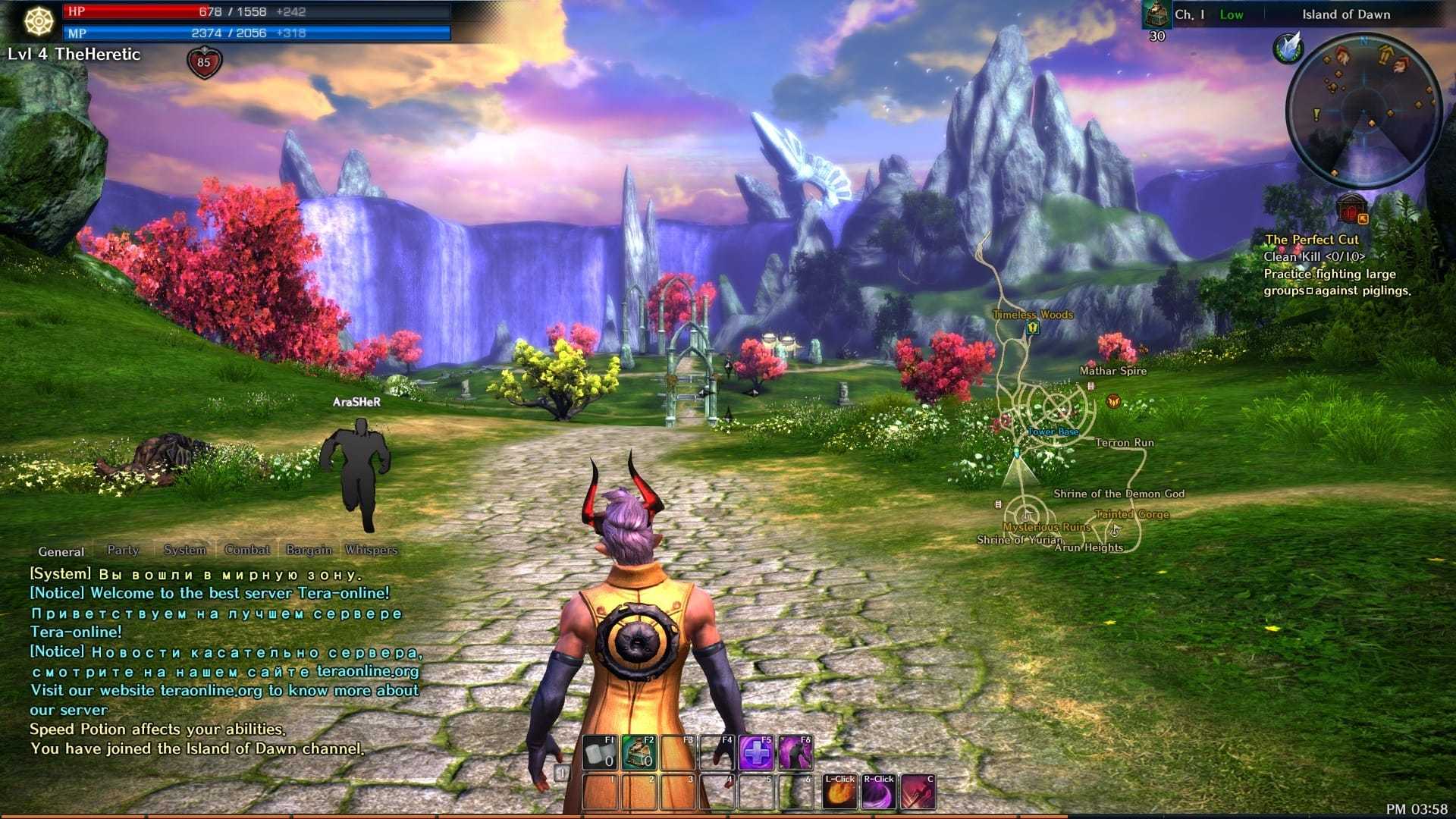 Обзор игры tera online, особенности игры, описание классов и рас