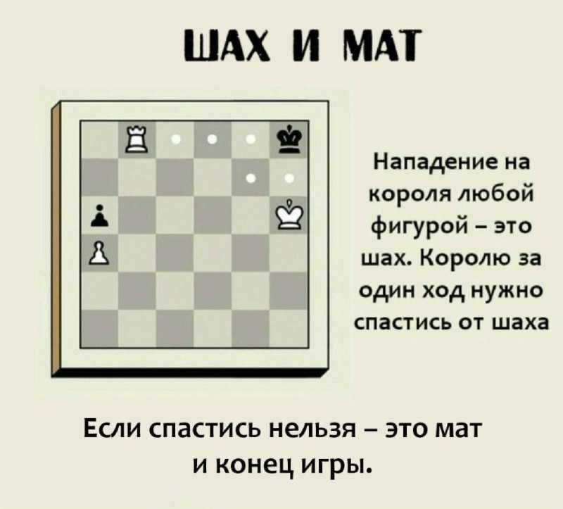 Дебют- начало шахматной партии