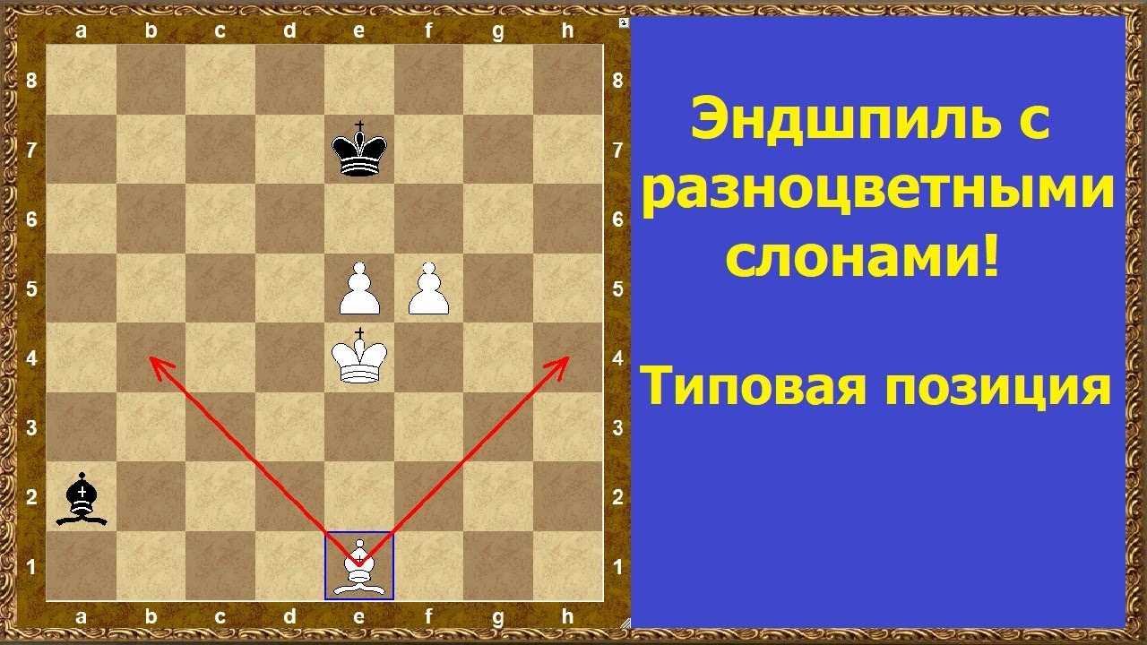 Слон против слона с пешками в разноцвете