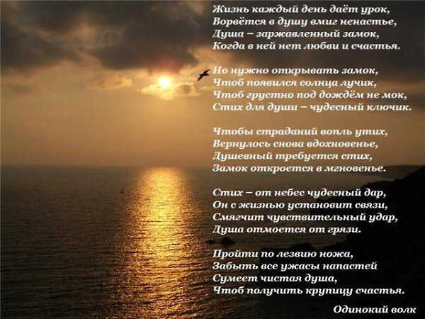 5 приложений для анализа шахматных партий