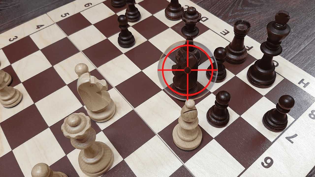 Шахматы — русская школа