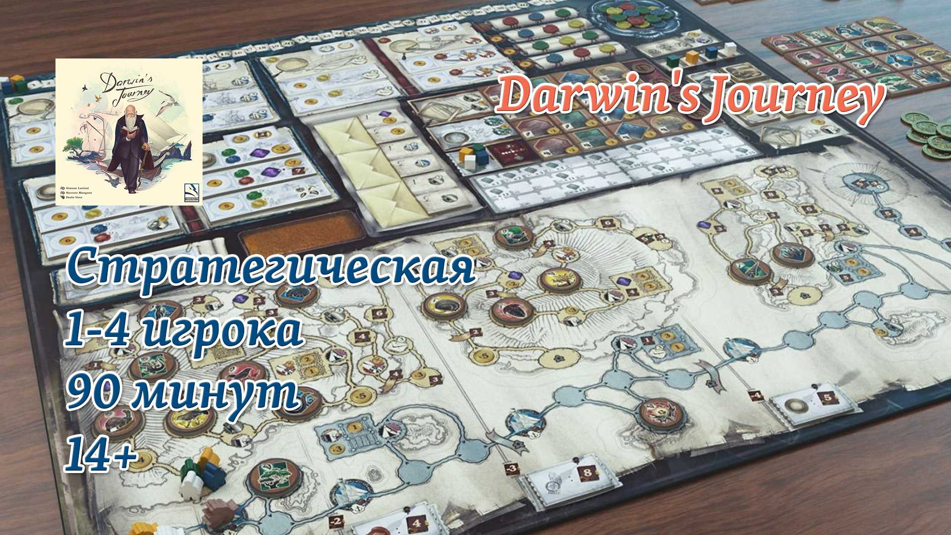 Топ-20 лучших настольных игр для всей семьи в 2023 году