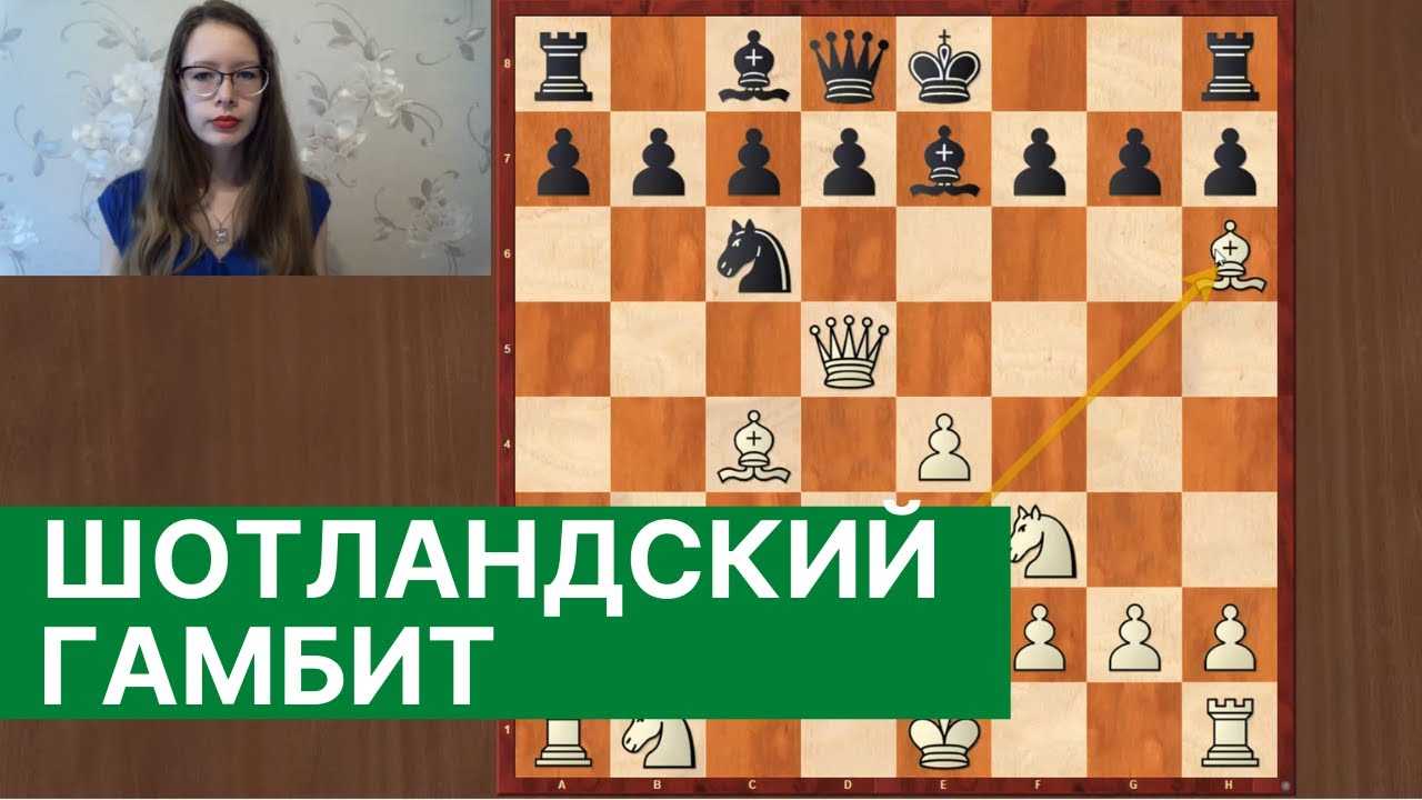 Глава 37. междупланетный шахматный конгресс / двенадцать стульев