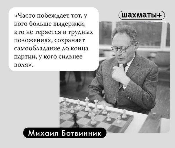 Что даёт шахматная школа | сила лиса