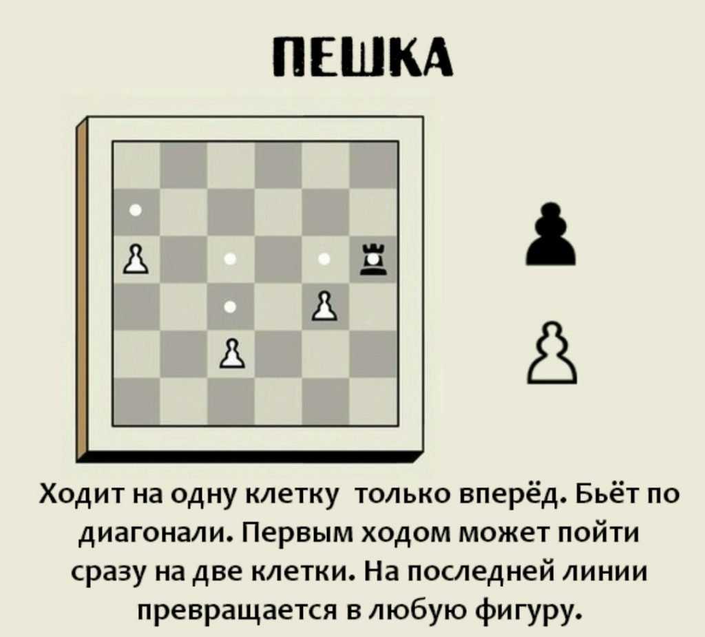 Топ-24 лучших фильма про шахматы и шахматистов