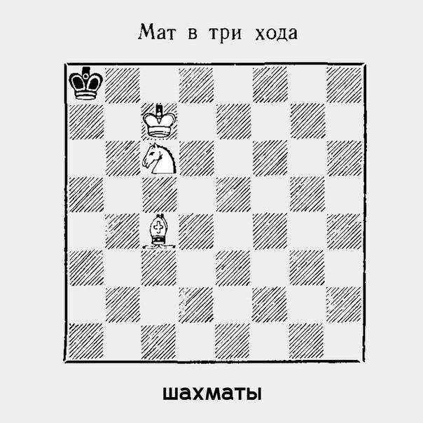 Шахматы кто как ходит и бьет. правила игры в шахматы для начинающих