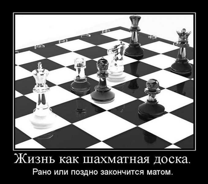 Как научиться играть в шахматы с нуля самостоятельно