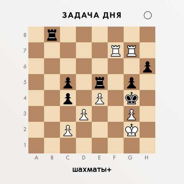 Ладейный эндшпиль для начинающих - позиция филидора, мост