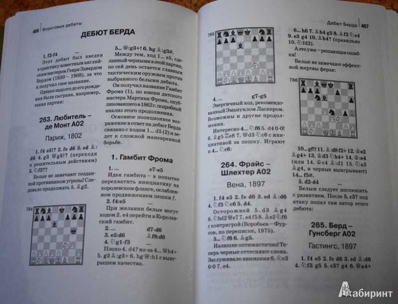 Книга построена наподобие дебютного справочника и представляет собой своеобразный свод ошибок, совершаемых шахматистами в дебюте Общее количество партий, вошедших в книгу, - около 700 По объему и степени проработки материала данная работа сопоставима с кр