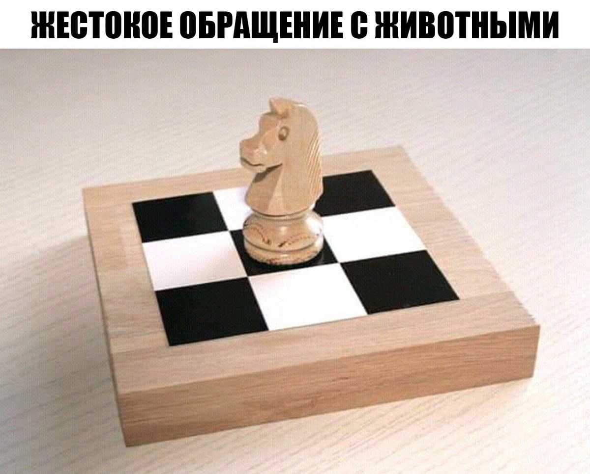 Дебют- начало шахматной партии | шахматы для детей