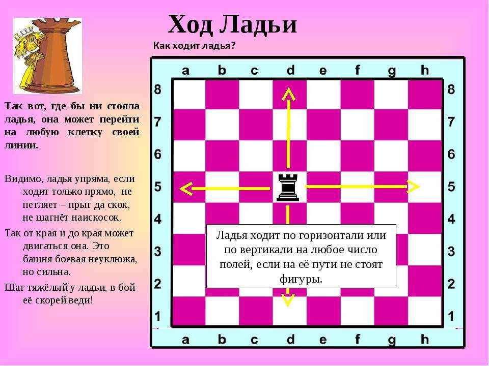Глава 6 слон против слона